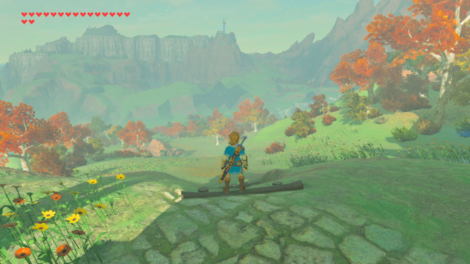 Zelda dans Suyu (Switch)